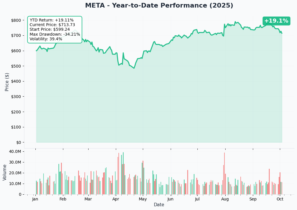 META YTD Performance