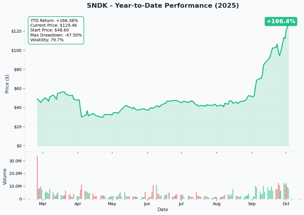 SNDK YTD Performance