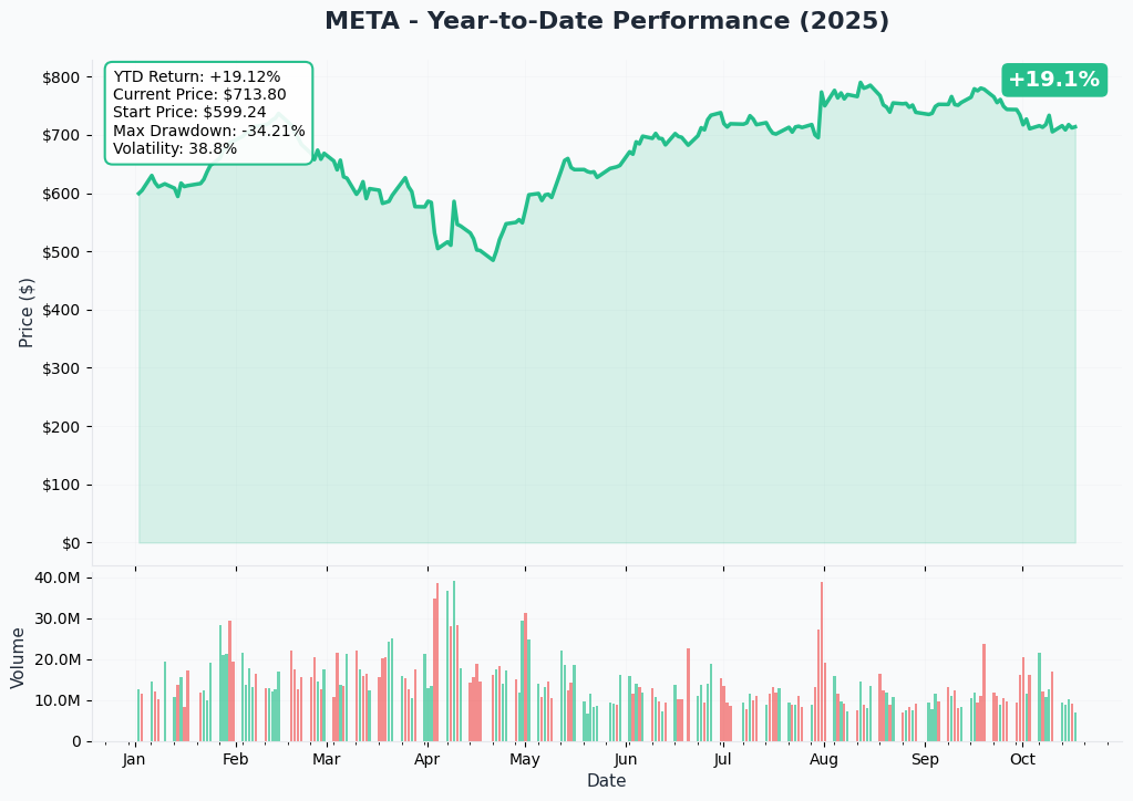 META YTD Performance