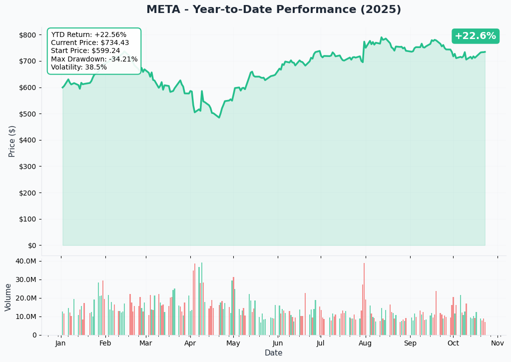 META YTD Performance