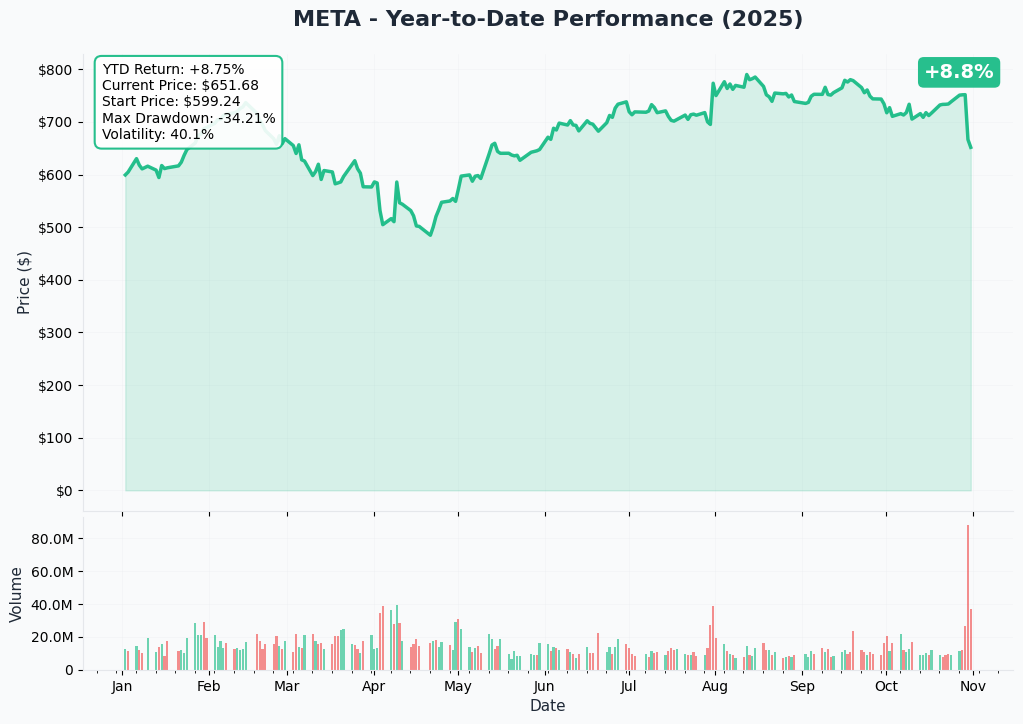 META YTD Performance