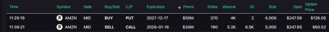 Option Flow Screenshot