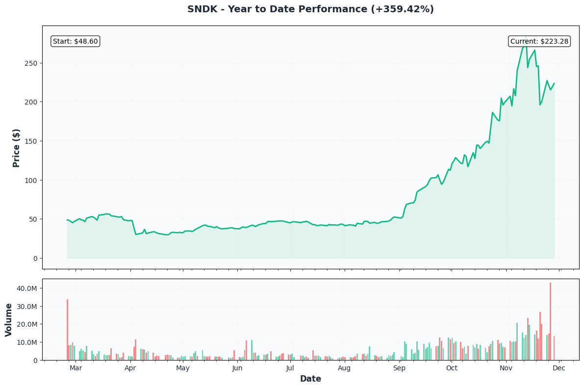 SNDK YTD Performance