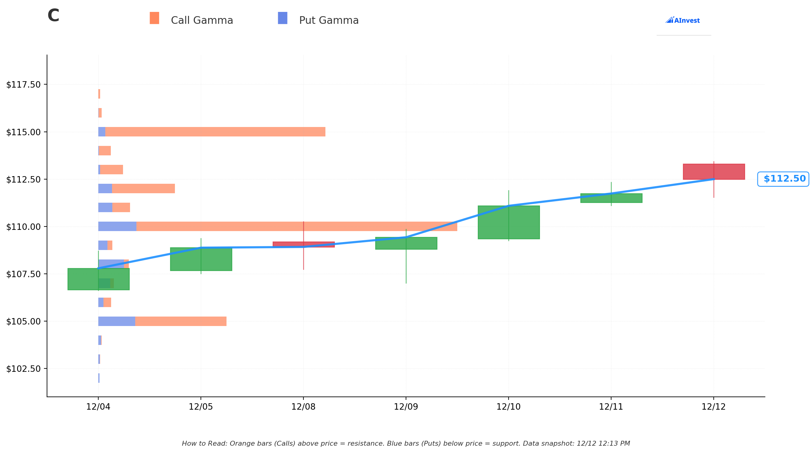 Citigroup Gamma S/R