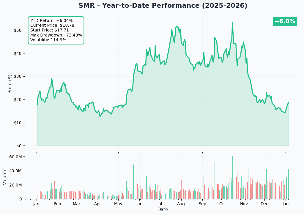 SMR YTD Performance