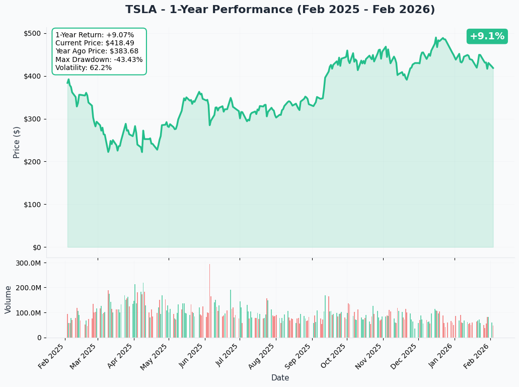 TSLA 1-Year Performance