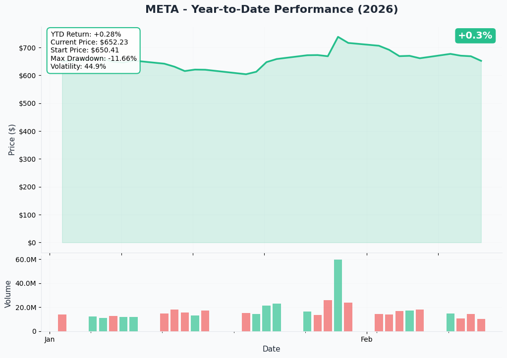 META YTD Performance