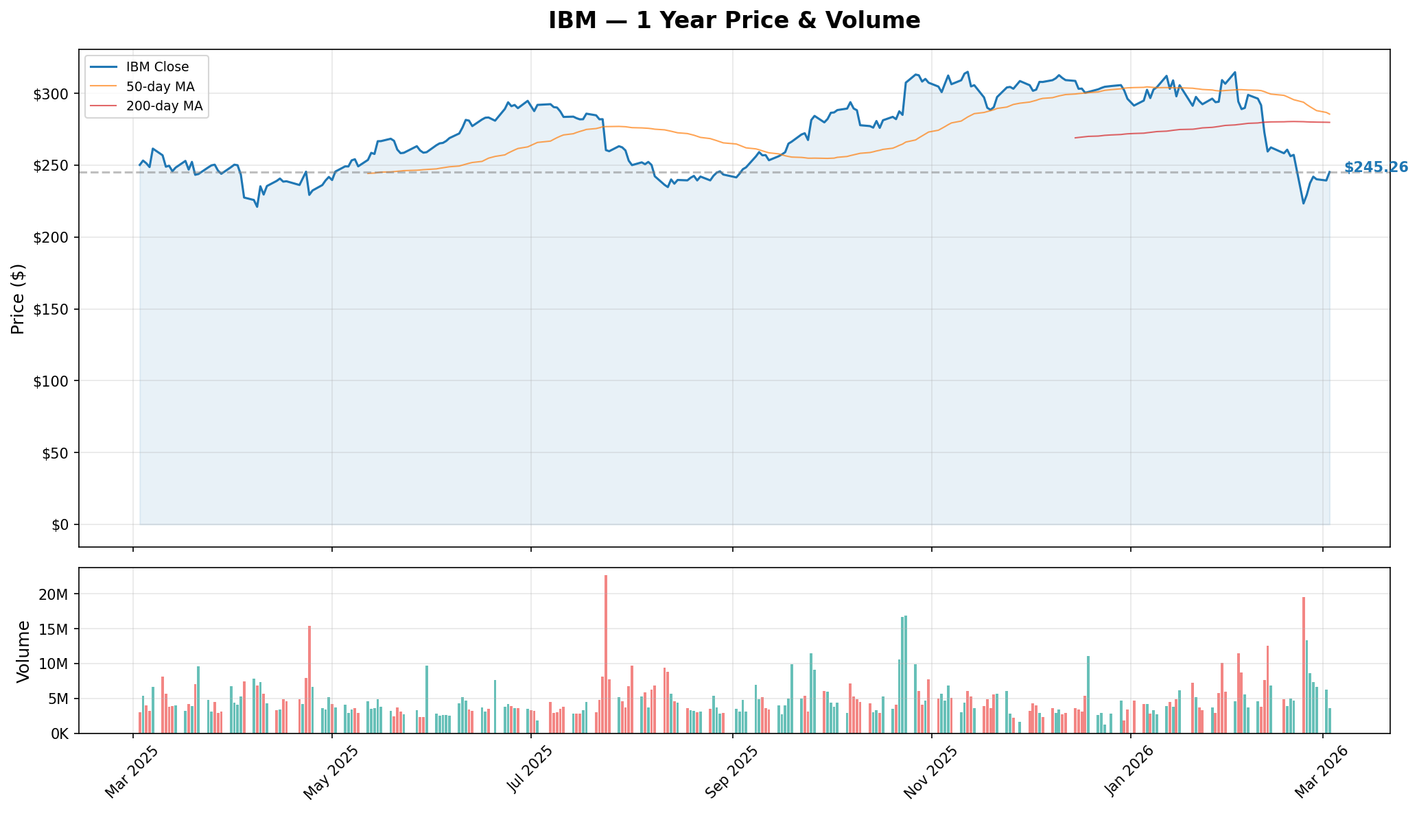 IBM YTD