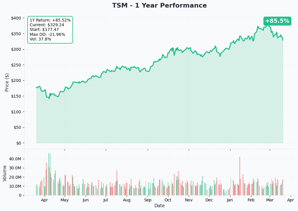 TSM 1 Year Performance