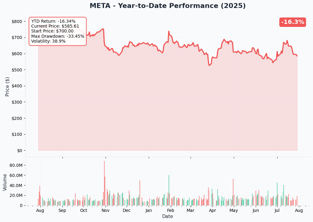 META YTD Performance