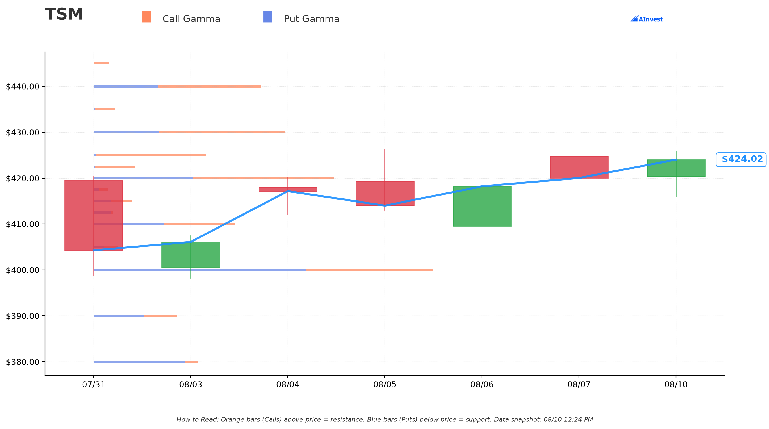 TSM Gamma Support & Resistance