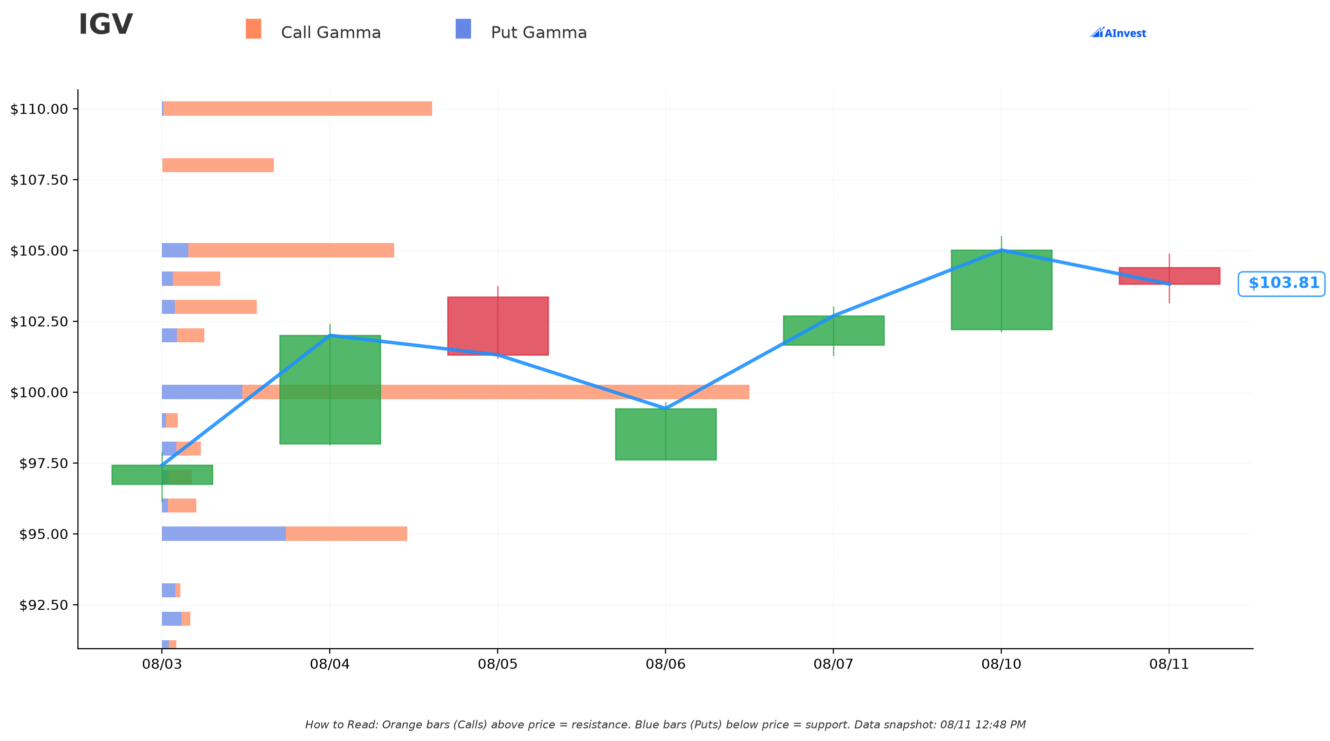 IGV Gamma Support & Resistance