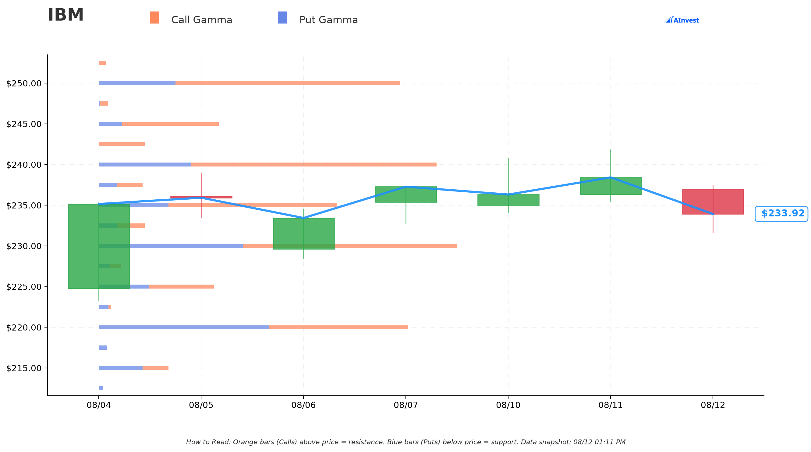 IBM Gamma Support & Resistance