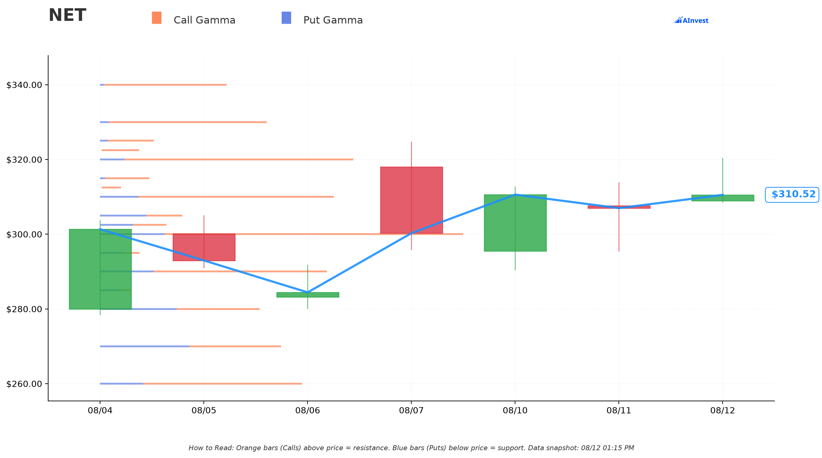 NET Gamma Support & Resistance